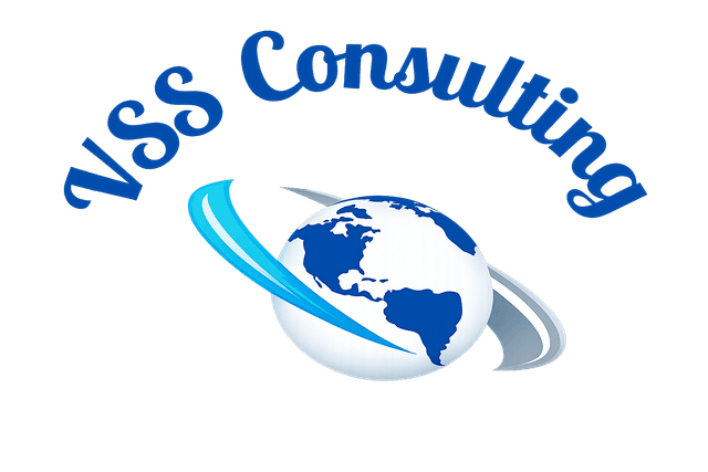 VSS Consulting Logo